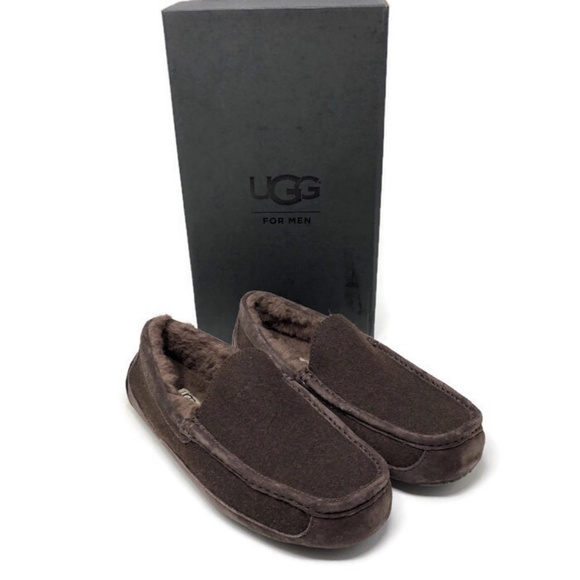 ugg ascot lined slipper
